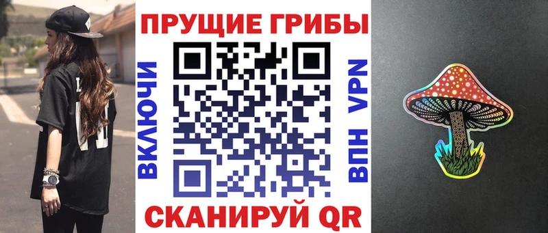 что такое наркотик  Перевоз  нарко площадка формула  Псилоцибиновые грибы GOLDEN TEACHER 